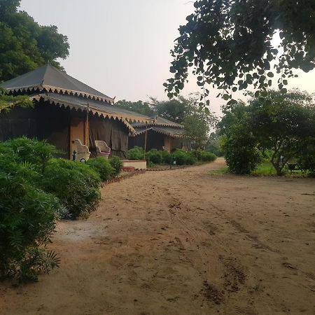 Orchard Tents & Tranquility Pushkar Exterior photo