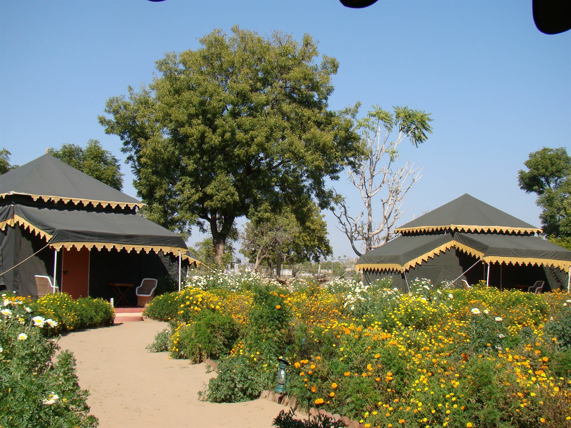 Orchard Tents & Tranquility Pushkar Exterior photo