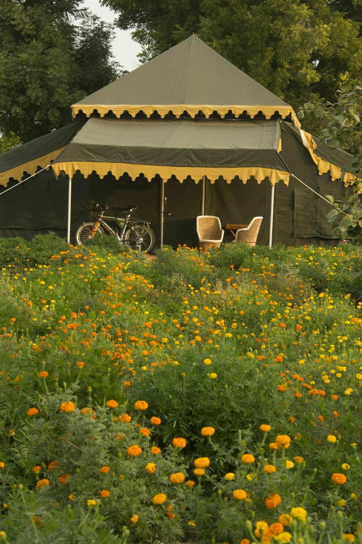 Orchard Tents & Tranquility Pushkar Exterior photo