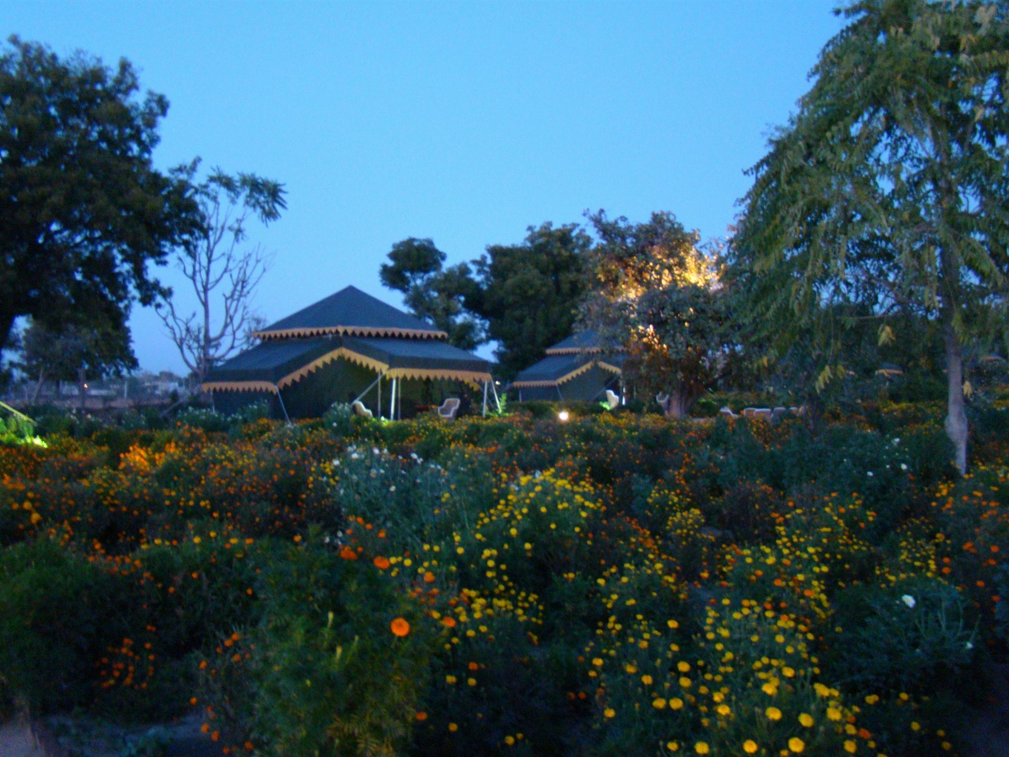 Orchard Tents & Tranquility Pushkar Exterior photo