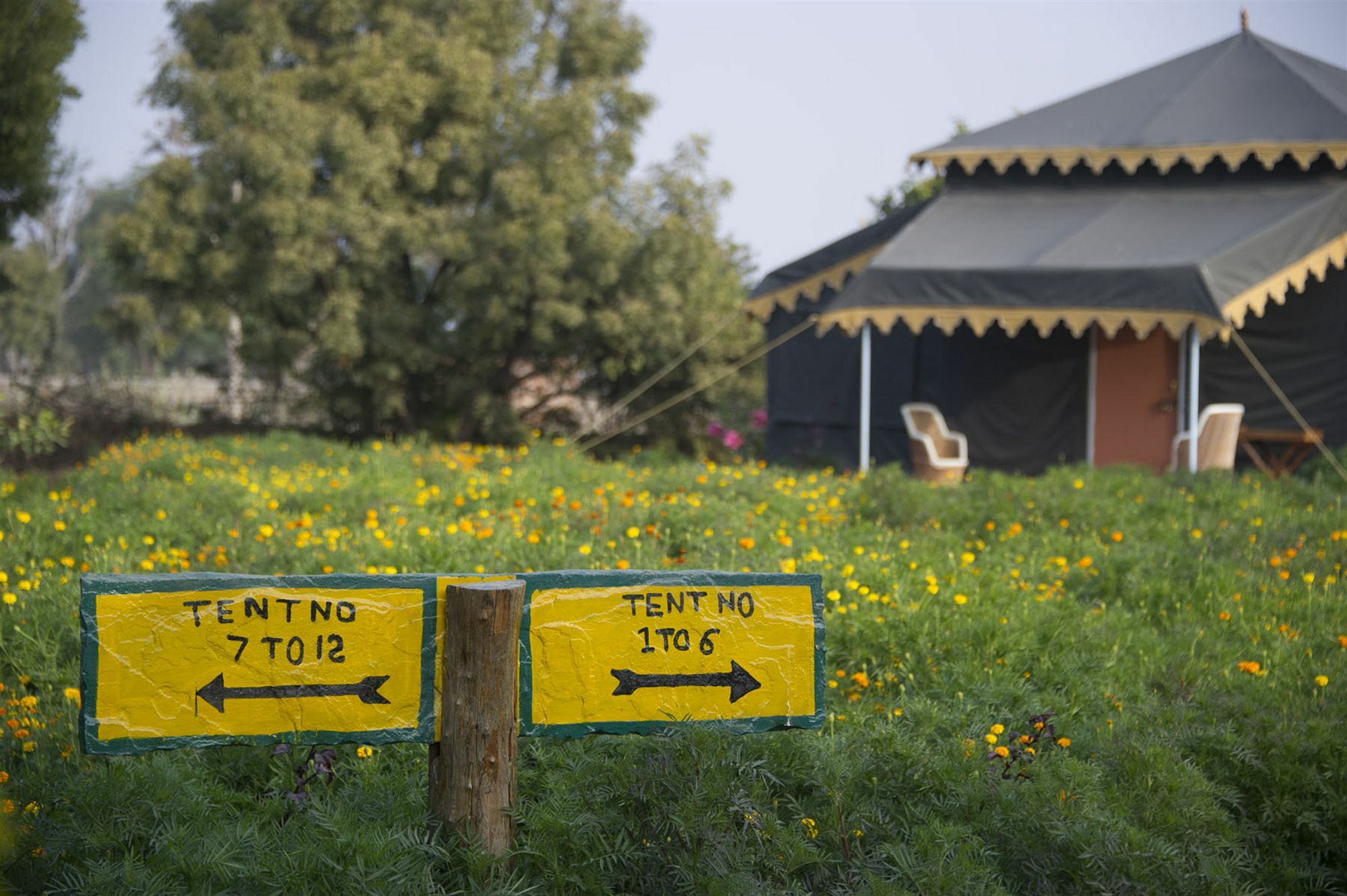 Orchard Tents & Tranquility Pushkar Exterior photo