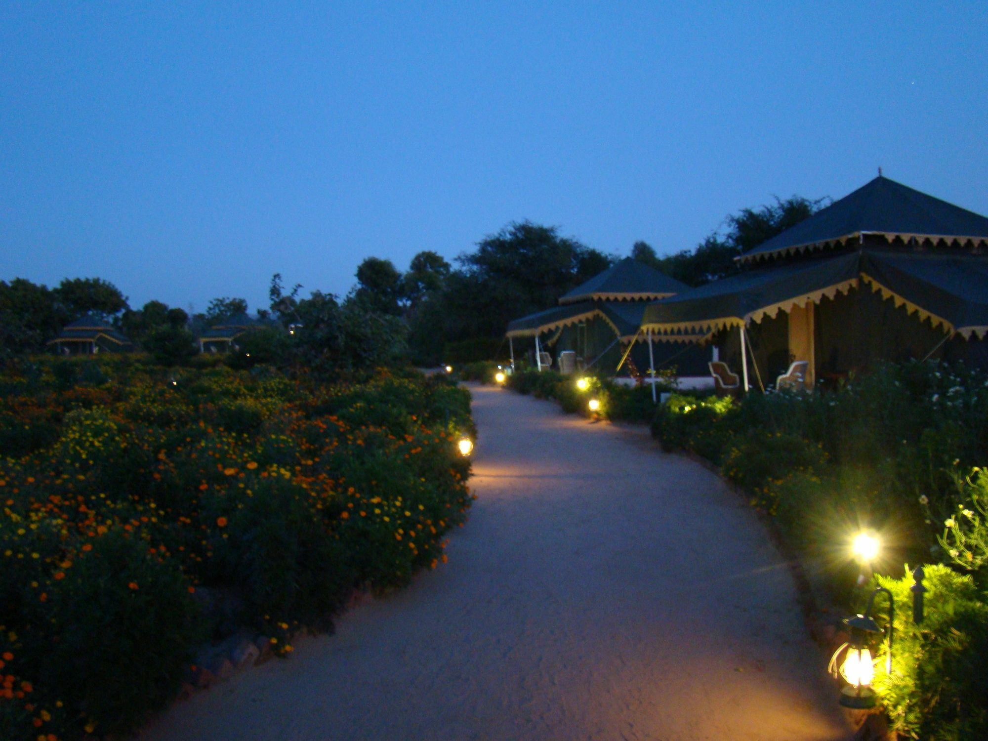 Orchard Tents & Tranquility Pushkar Exterior photo