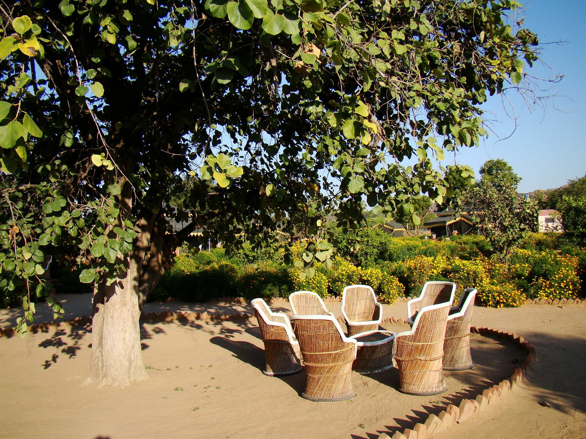 Orchard Tents & Tranquility Pushkar Exterior photo