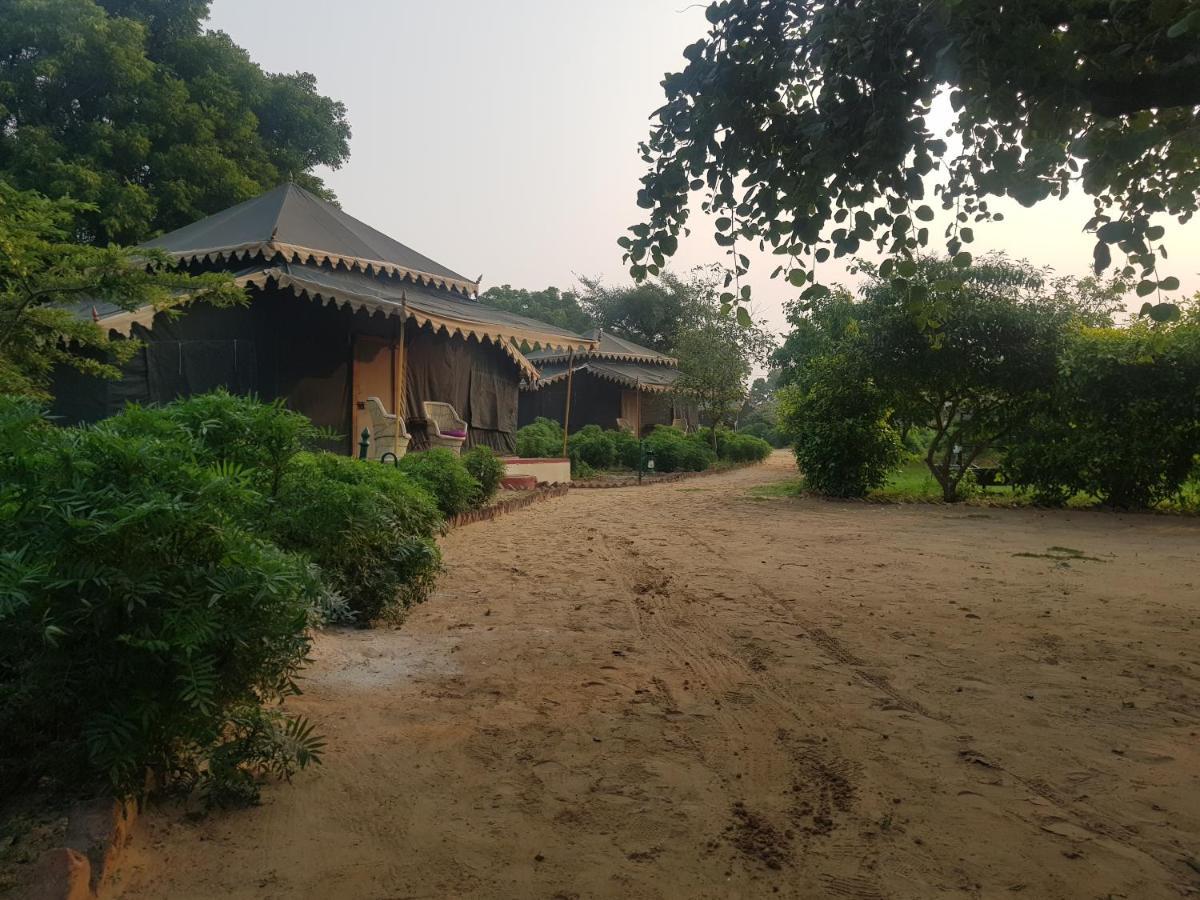 Orchard Tents & Tranquility Pushkar Exterior photo