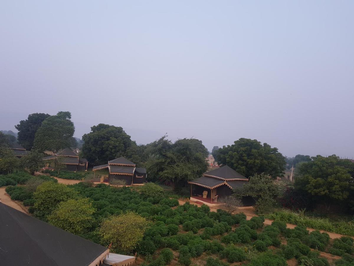 Orchard Tents & Tranquility Pushkar Exterior photo