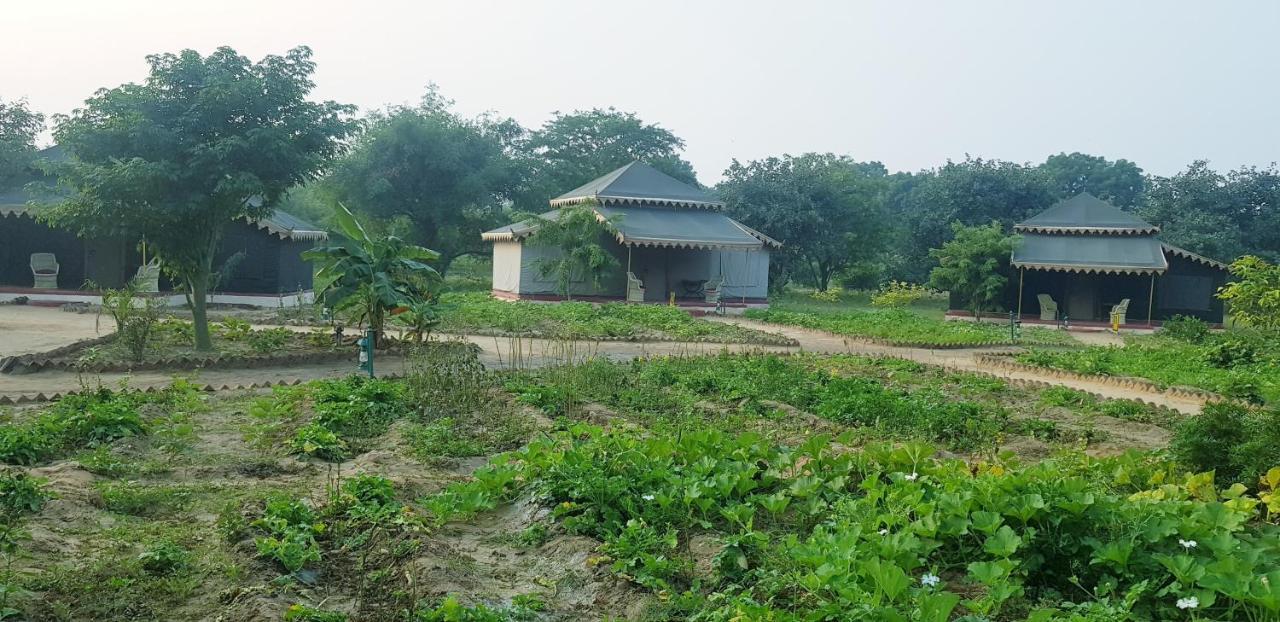 Orchard Tents & Tranquility Pushkar Exterior photo