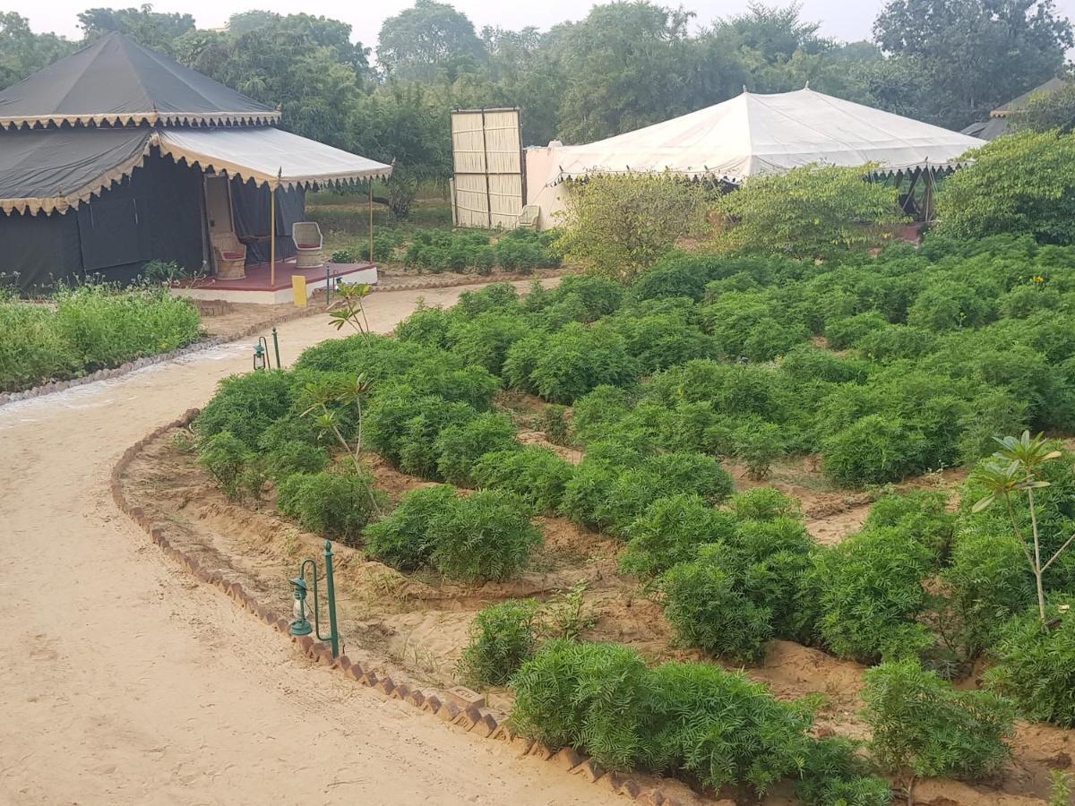 Orchard Tents & Tranquility Pushkar Exterior photo