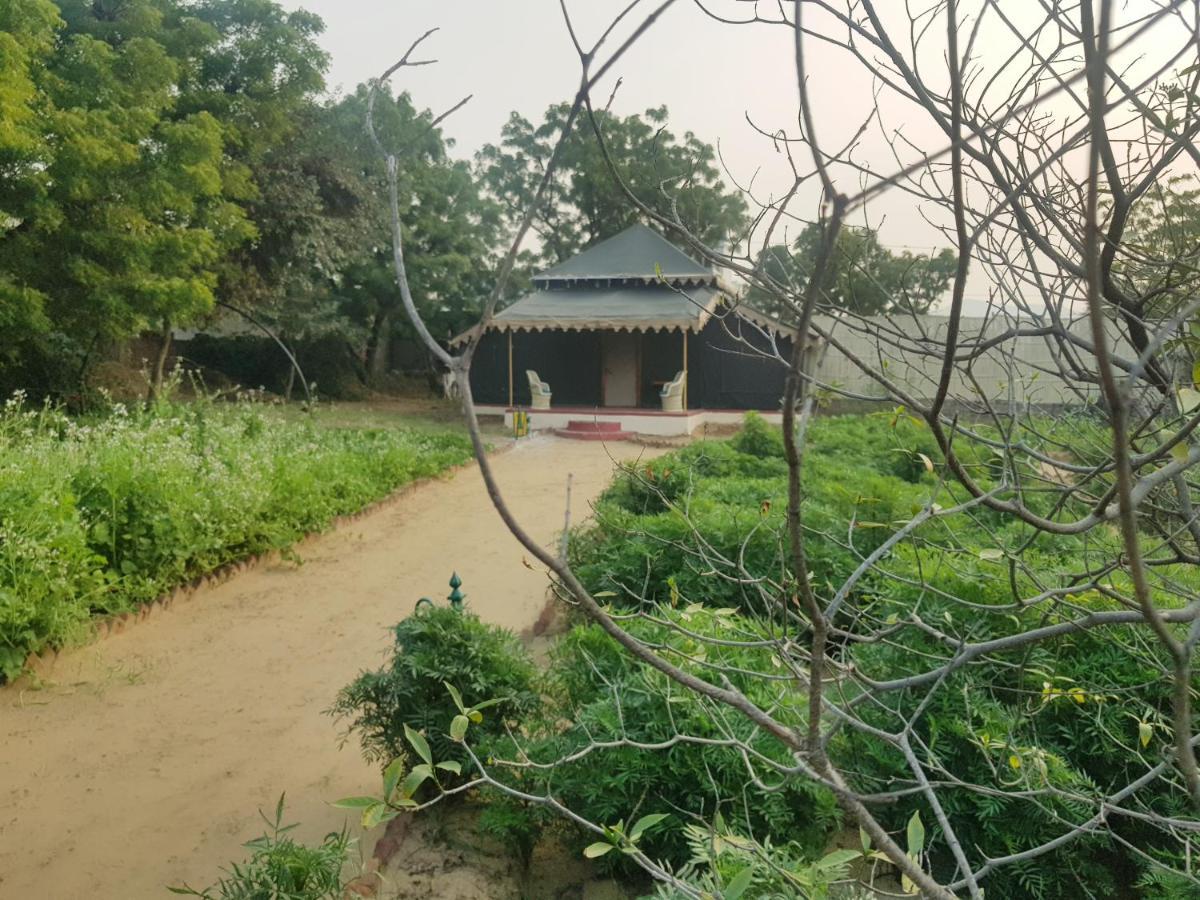 Orchard Tents & Tranquility Pushkar Exterior photo