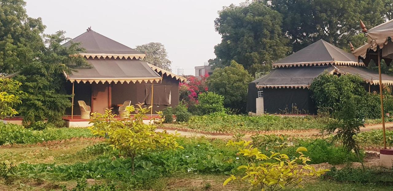 Orchard Tents & Tranquility Pushkar Exterior photo